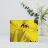 Canna Lily mit Hummel Biene Postkarte (Stehend Vorderseite)