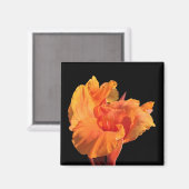 Canna Magnet (Vorderseite/Rückseite)