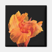 Canna Magnet (Vorne)