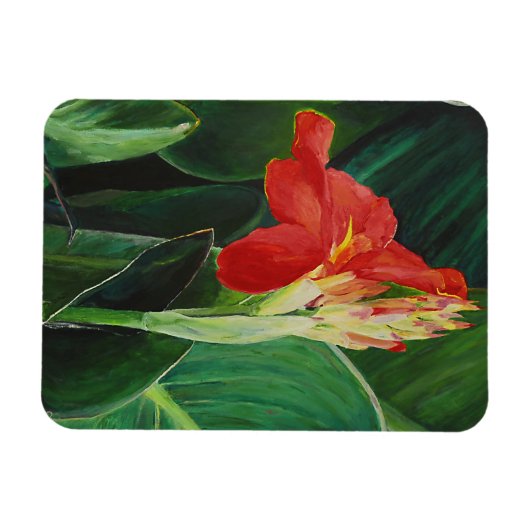 Canna - Magnet (Horizontal)