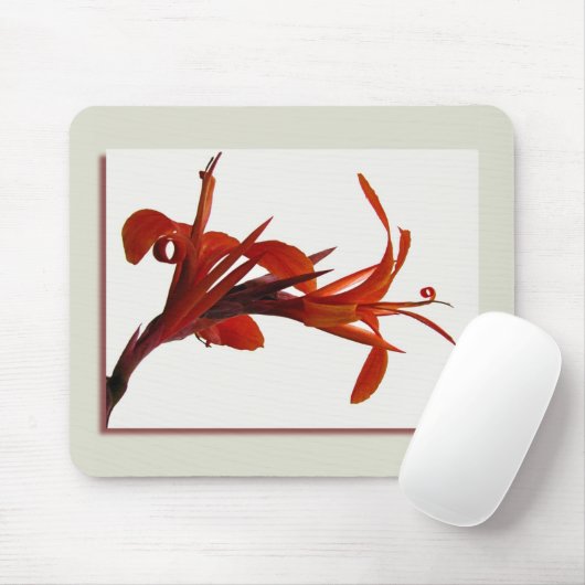 Canna Mousepad (Mit Mouse)