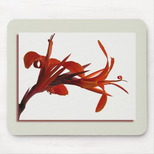 Canna Mousepad (Vorne)
