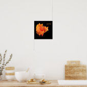 Canna Poster (Küche)