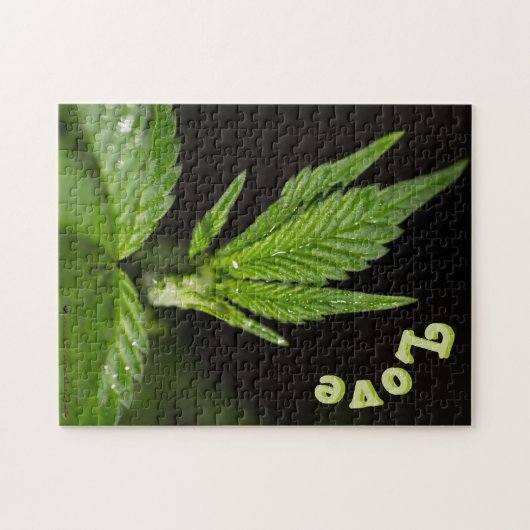 Canna Puzzle (Horizontal)