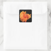 Canna Quadratischer Aufkleber (Tasche)