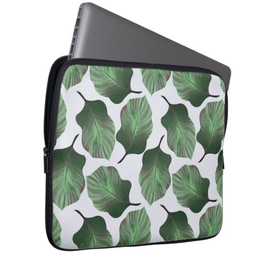 Canna Tropicanna Tropical Blätter, grün Laptopschutzhülle (Vorne Rechts)