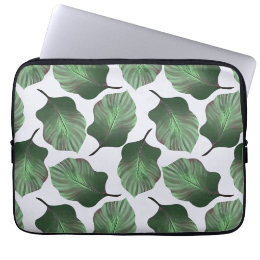 Canna Tropicanna Tropical Blätter, grün Laptopschutzhülle (Vorderseite)