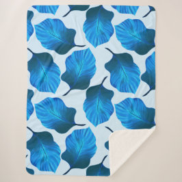 Canna Tropicanna Tropical Blätter in Locarno Sherpadecke