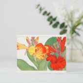 Canna von Tanigami Konan Postkarte (Stehend Vorderseite)
