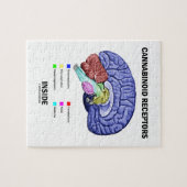 Cannabinoid Empfänger-Innere (Gehirn-Anatomie) Puzzle (Horizontal)