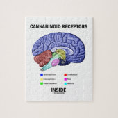 Cannabinoid Empfänger-Innere (Gehirn-Anatomie) Puzzle (Vertikal)