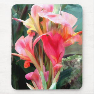 Cannas hübsch im Rosa Mousepad