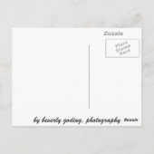 Cannerreihe Postkarte (Rückseite)