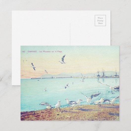 Cannes Beach Seagulls Postkarte (Vorne/Hinten)