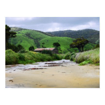 Cannibal Bay : Caitlins : New Zealand Poster