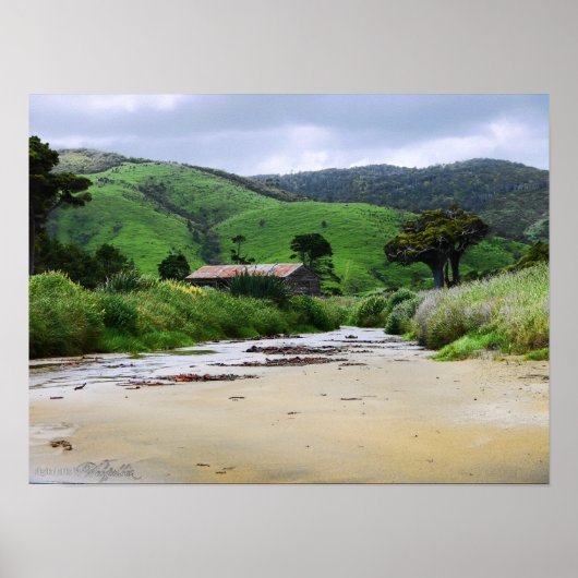 Cannibal Bay : Caitlins : New Zealand Poster (Vorne)