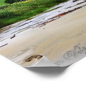 Cannibal Bay : Caitlins : New Zealand Poster (Ecke)