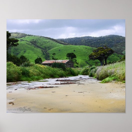 Cannibal Bay : Caitlins : New Zealand Poster (Vorne)