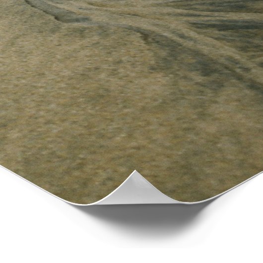 Cannibal Bay, neuseeländisches Poster (Ecke)