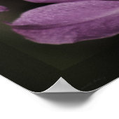 Cannizaro Orchid Art Print -24x20 - oder kleiner Poster (Ecke)