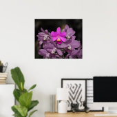 Cannizaro Orchid Art Print -24x20 - oder kleiner Poster (Heimbüro)