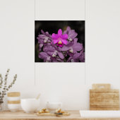 Cannizaro Orchid Art Print -24x20 - oder kleiner Poster (Küche)