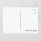 Cannock Chase in Staffordshire Souvenir Foto Postkarte (Rückseite)