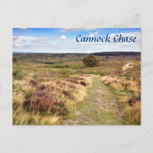 Cannock Chase in Staffordshire Souvenir Foto Postkarte (Vorderseite)