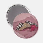 Cannoli Magnet (Vorderseite/Rückseite)