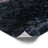 Cannon atop Castillo de San Marcos Poster (Ecke)