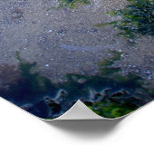 Cannon Beach Haystack Rock Low Tide Oregon Poster (Ecke)