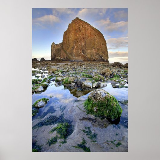 Cannon Beach Haystack Rock Low Tide Oregon Poster (Vorne)