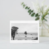 Cannon Beach, Oregon Szene mit den Needles Postkarte (Stehend Vorderseite)