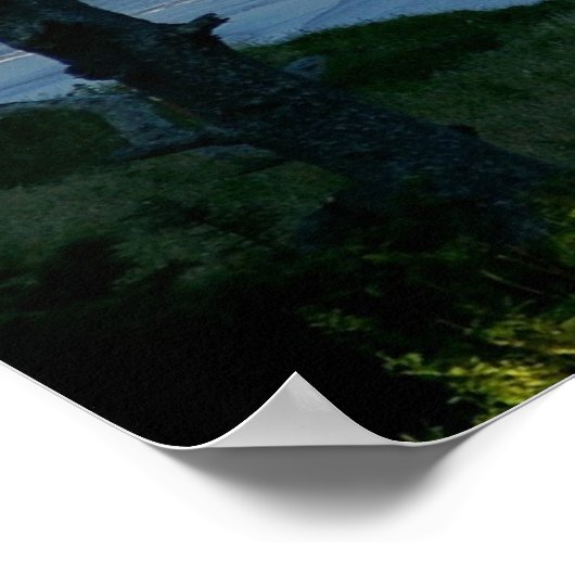 Cannon Beach Poster (Ecke)