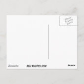 Cannon Beach Postkarte (Rückseite)