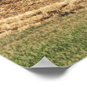 Cannon Fire Poster (Ecke)