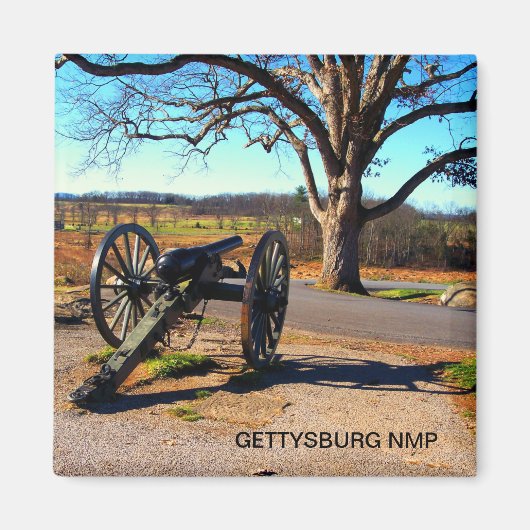 CANNON UND WITNESS BAUM BEI DEVILS DEN MAGNET (Vorne)