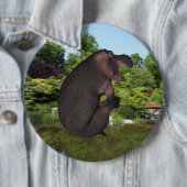 Cannonball Hippo Button (Beispiel)