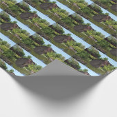 Cannonball Hippo Geschenkpapier (Ecke)