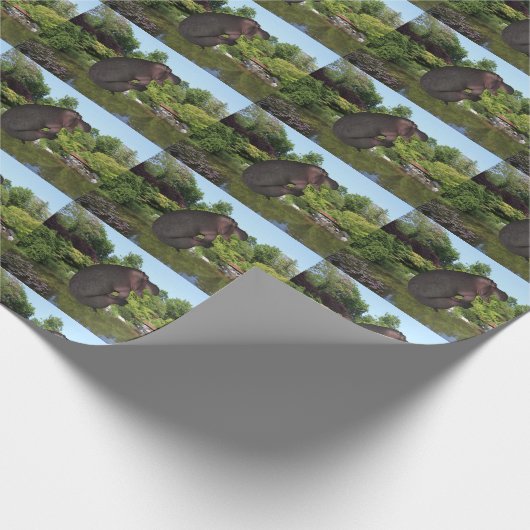 Cannonball Hippo Geschenkpapier (Ecke)