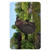 Cannonball Hippo Magnet (Vertikal)