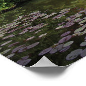 Cannonball Hippo Poster (Ecke)