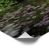 Cannonball Hippo Poster (Ecke)