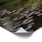 Cannonball Hippo Poster (Ecke)