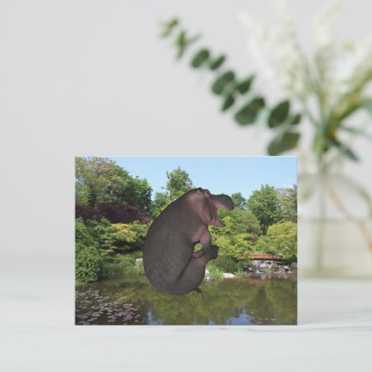 Cannonball Hippo Postkarte (Stehend Vorderseite)