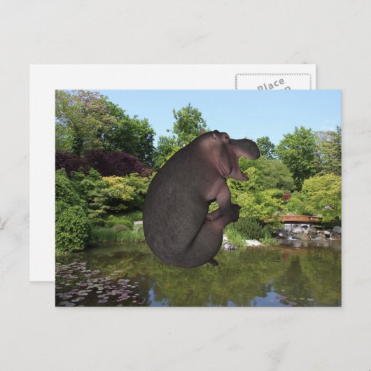 Cannonball Hippo Postkarte (Vorne/Hinten)