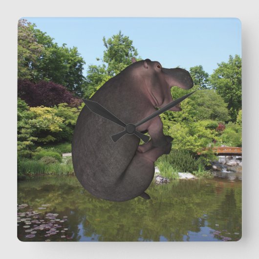 Cannonball Hippo Quadratische Wanduhr (Vorderseite)