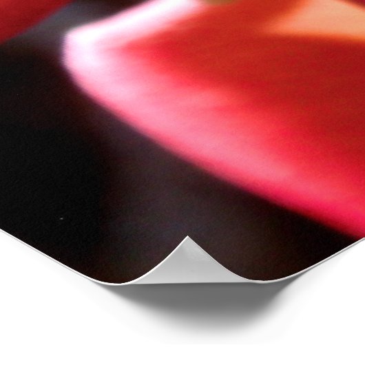 Cannonball Tree Blossom Poster (Ecke)