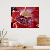 Cannonball Tree Blossom Poster (Küche)
