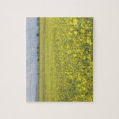 Canola, das auf dem Gebiet blüht Puzzle (Vertikal)